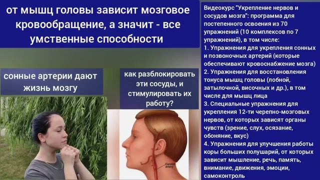 Шея, мозг, глаза, ноги деградируют из-за 
спазма мышц сосцевидного отростка. Упражнения
