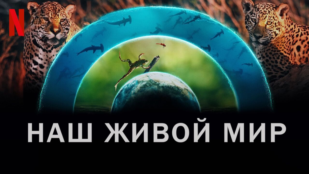 Наш живой мир - 1 сезон 1 серия  сериал 2024  Our Living World