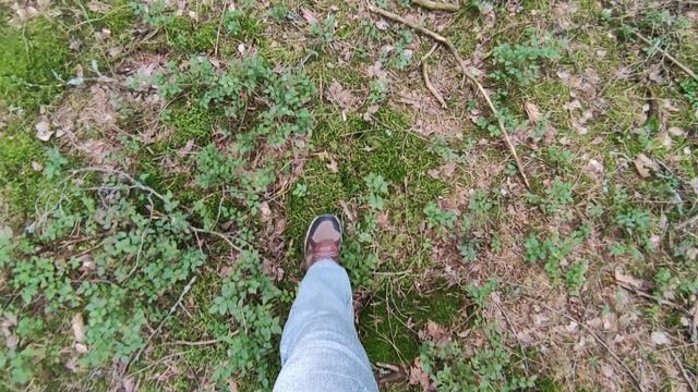 4.🇧🇾НАЙДЕНЫ ОЗëРА Беловежской Пущи. Экологический маршрут «Озерное кольцо» (Брест. Беларусь) 2026