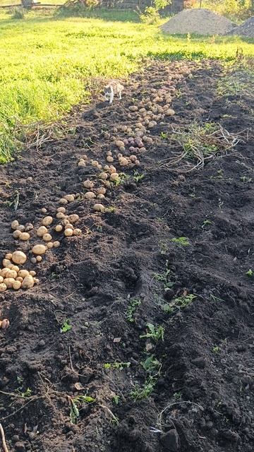 Наконец-то дождался выходных отдыхаю по полной