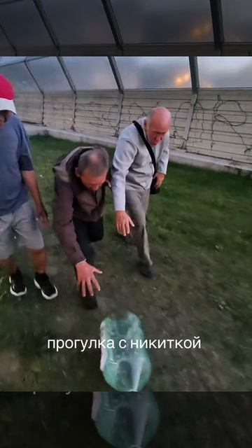 НИКИТА