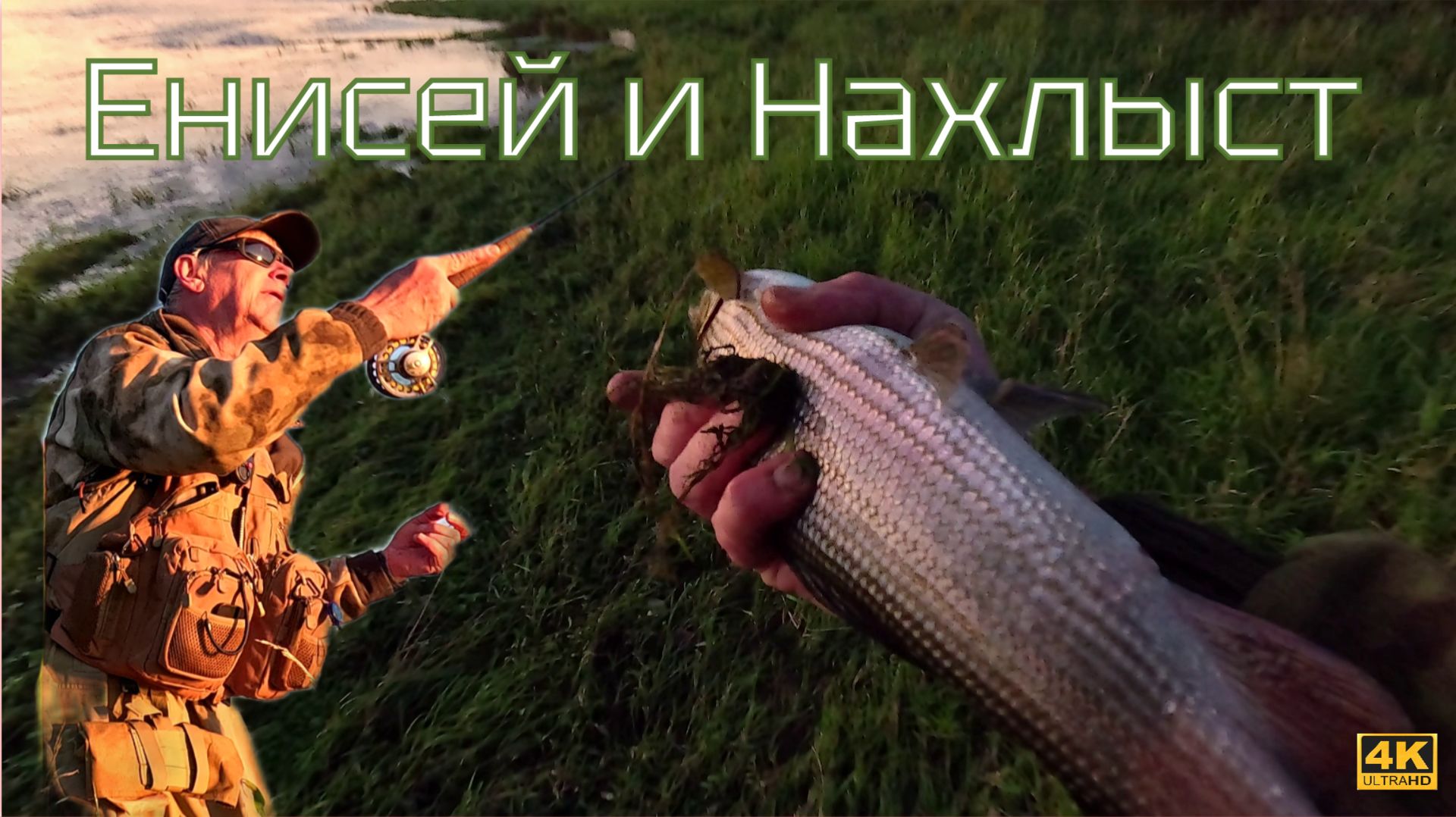 Неожиданно Енисей порадовал |Эмоциональная рыбалка[4k]