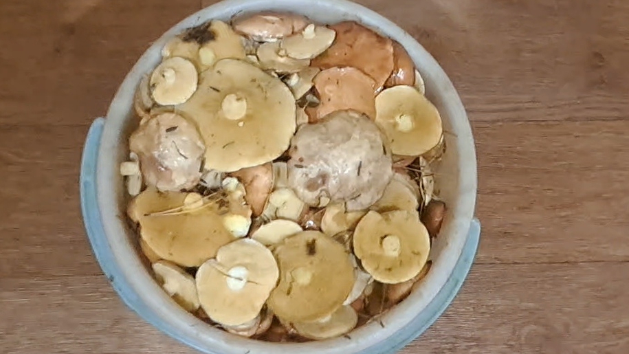 🍄Муж привез грибов//А я опять  наготовила🍪//