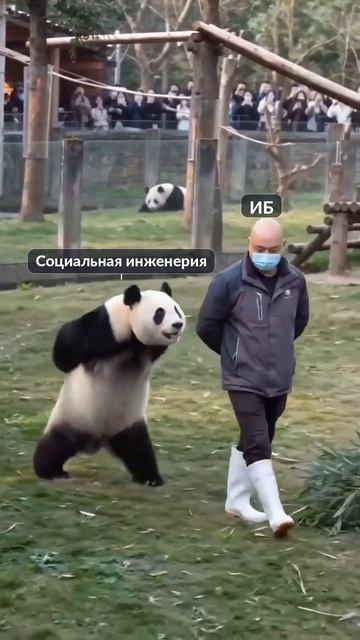 Когда социальная инженерия буквально ходит за тобой по пятам 👀