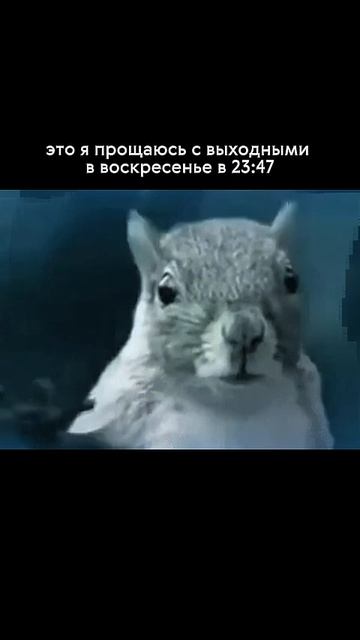 в смысле, а как уже воскресенье ☹️