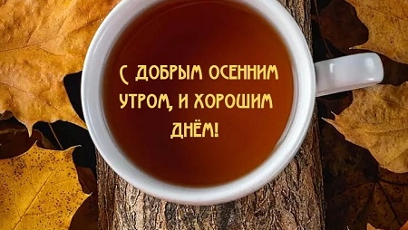 С добрым,осенним утром!