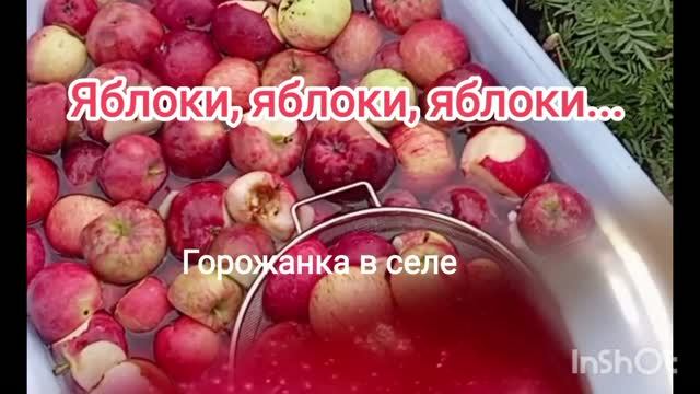 Яблоки, яблоки, яблоки...