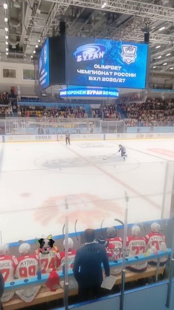 //MINT AUSSIE\\ ЭДИТ НАШЕМУ ХОККЕЙНОМУ КЛУБУ !✨