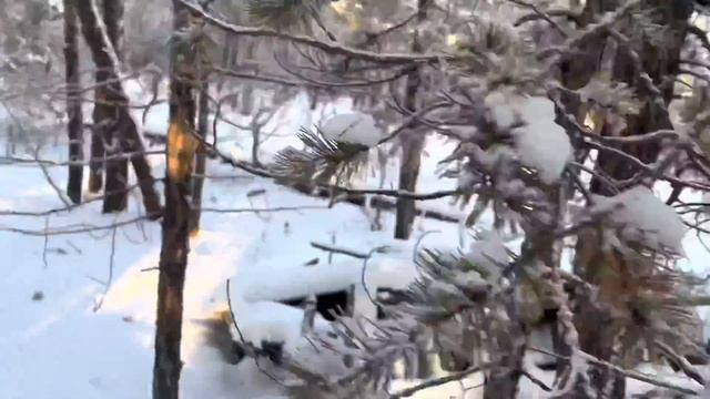 ТЮНГ легенды не врали_1080p