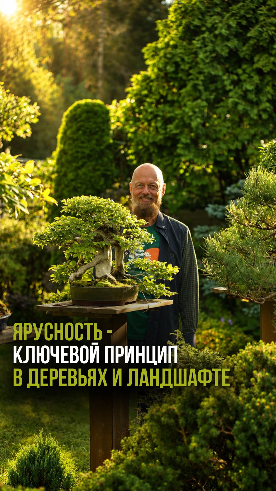 Ярусность - ключевой принцип в деревьях и ландшафте