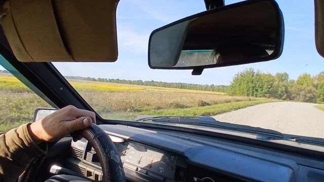 Жареная камбала .В лес за грибами 🍄🟫🍄🍄🟫