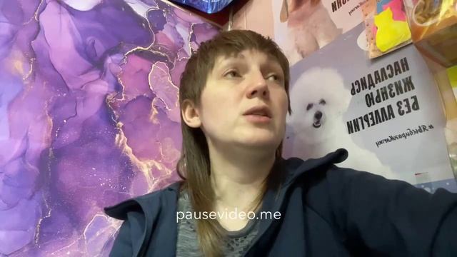 Обзор. Alleva кошки. Аллева разочаровала.