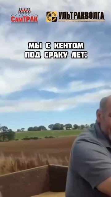 Мы или не мы?