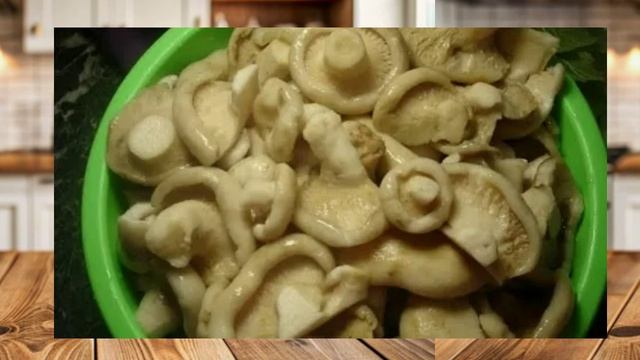 Грузди горячим способом — быстрый и надёжный рецепт засолки