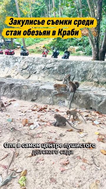 ОБЕЗЬЯНИЙ ДЕТСКИЙ САД: Оля в эпицентре макак на Ао Нанге!