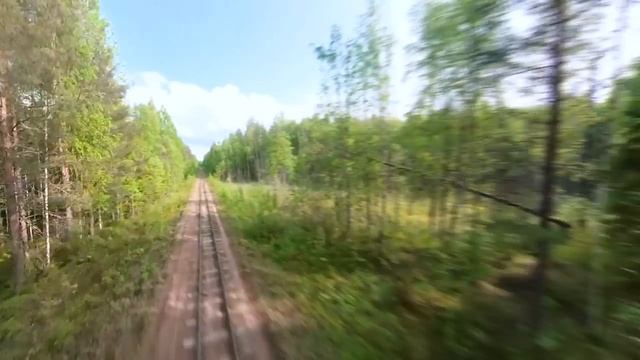 На своей дрезине по Кудемской узкоколейке - Курбель и Курвиметр