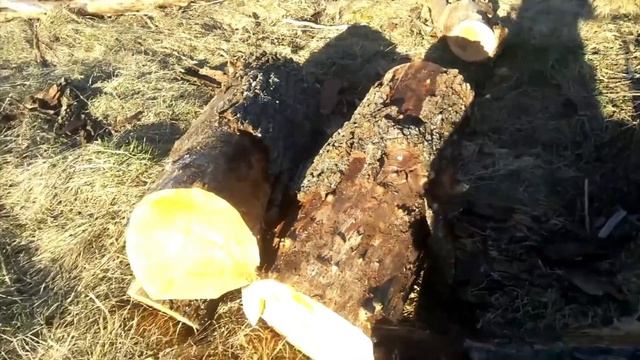 64.Вывозим дрова из глубокого оврага
