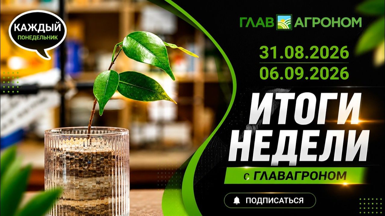 Итоги недели с ГлавАгроном 31.08.2026 – 06.09.2026