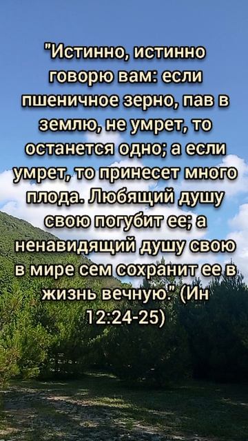 Иоанна