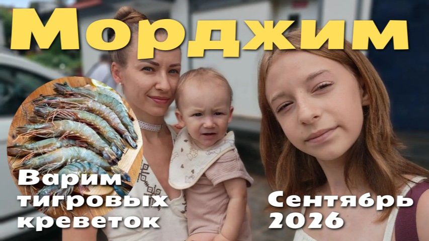 Морджим Варим тигровые креветки
