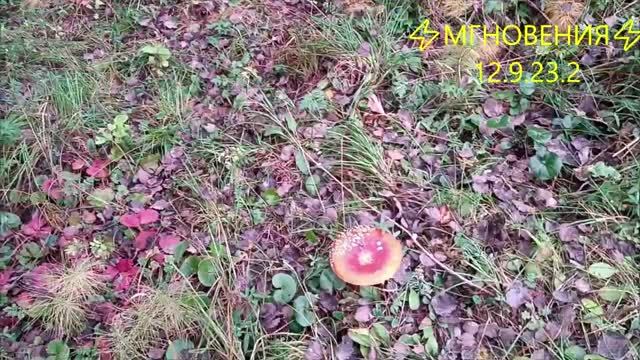 ⚡МГНОВЕНИЯ⚡ 12.9.23.2