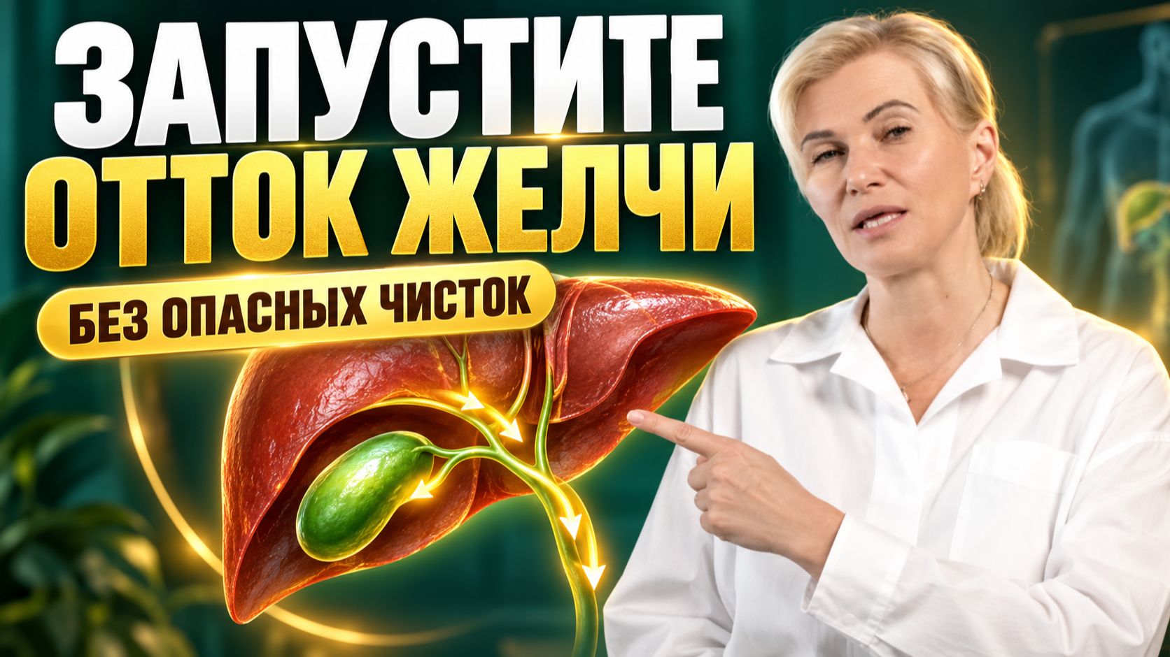 Система желчевыведения. Перезапуск