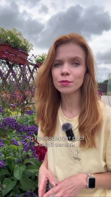 🪴 А ВЫ ПРАВИЛЬНО УХАЖИВАЕТЕ ЗА САДОМ В НАЧАЛЕ ОСЕНИ?