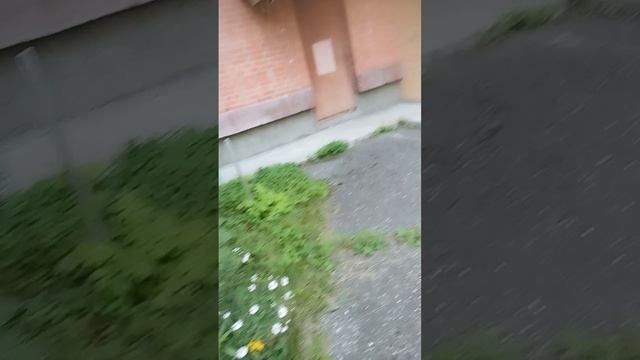 ГYЛЬ!