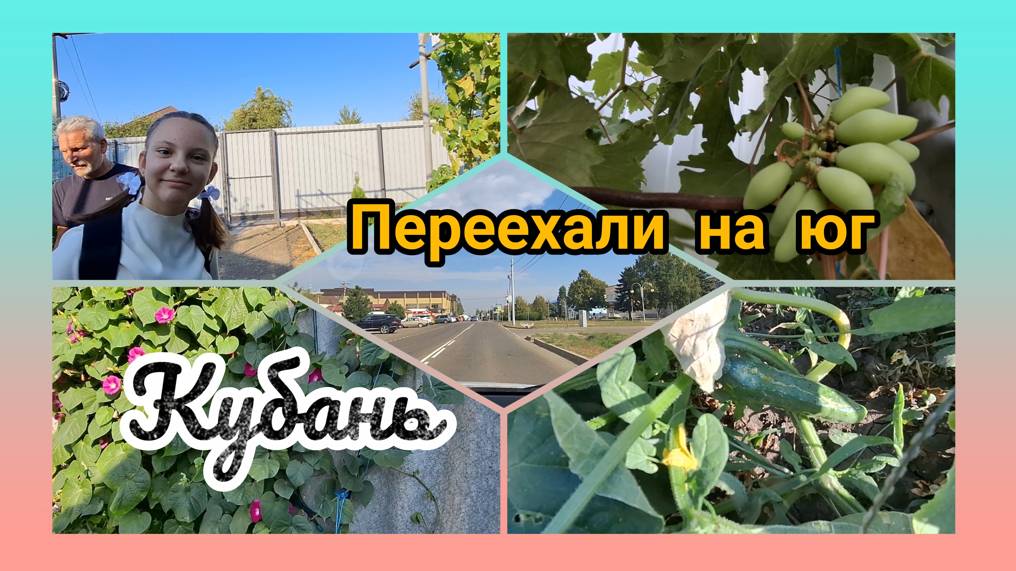 08-09-2026/ Мы его дождались😀/ Долгожданный виноград/ Живём и работаем на Кубани/ Жизнь семьи /