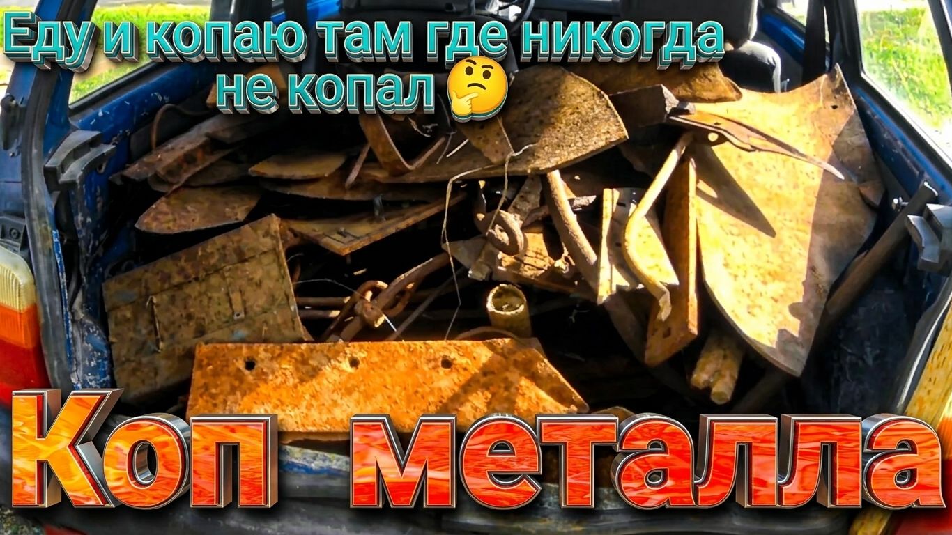 ЕДУ ТУДА, КУДА ГЛАЗА ГЛЯДЯТ: МЕТАЛЛОКОП В ЛЕСУ