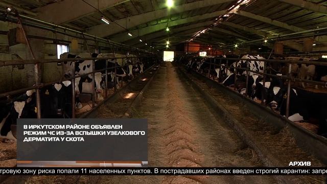 НОВОСТИ ИРТ 07-09-2026