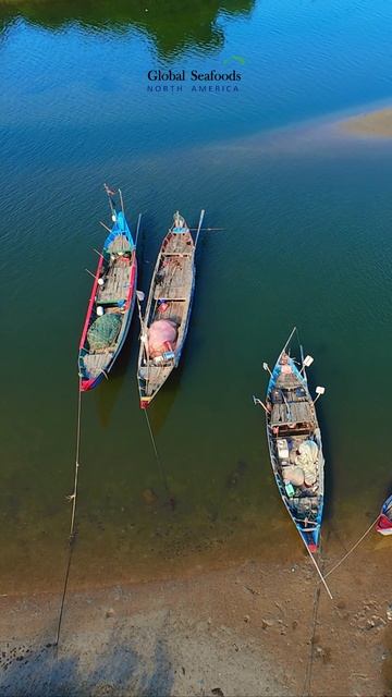 Скрытая Ривьера Вьетнама: рыбацкая деревня, заполненная лодками 🇻🇳🎣