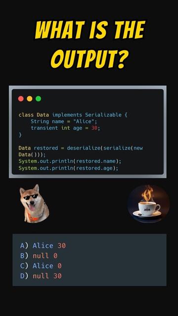 Что выведет этот код с Transient? Проверь своё чутьё 👇 #java #джава #javaprogramming