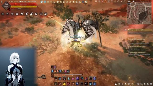 Black Desert ЛУЧШИЕ СПОТЫ ДЛЯ НОВИЧКА В 2026