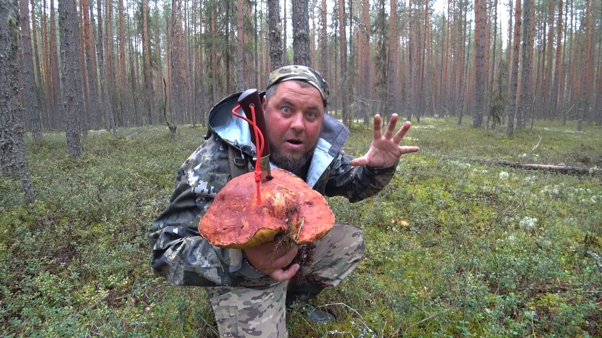 ЭТО ЖЕСТЬ, БЕЗ ВАЛИДОЛА НЕ СМОТРЕТЬ, НАШЕСТВИЕ ОГРОМНЫХ БОРОВИКОВ В БОРУ! СБОР БЕЛЫХ ГРИБОВ ОСЕНЬЮ .