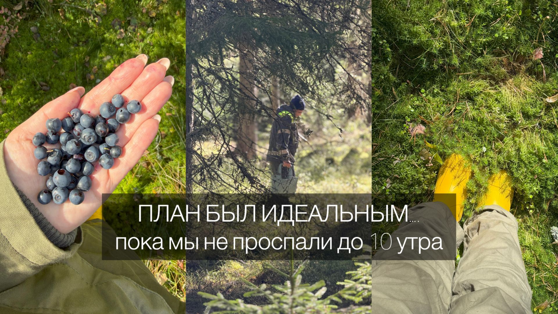 сюрприз для мужа, грибы и побег за город // влог
