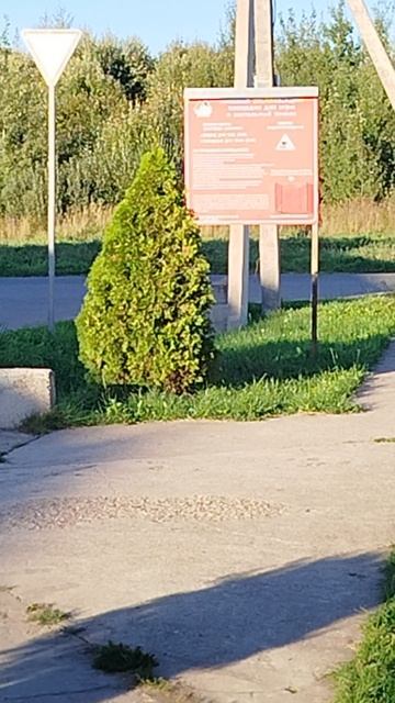 влог