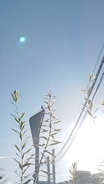 влог