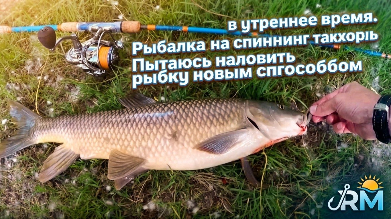 Рыбалка на спиннинг в утреннее вермя. Пытаюсь наловить рыбку новым способом