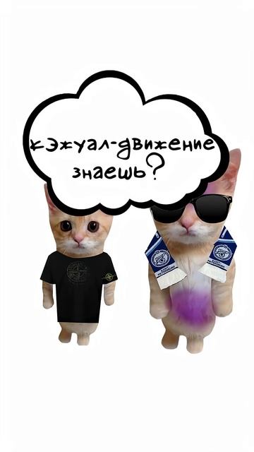 Что такое пояснить за шмот? 🥻