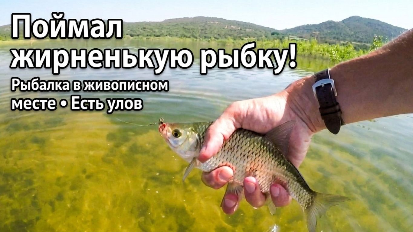 Поймал жирненькую рыбку. Рыбалка в живописном месте. Есть улов