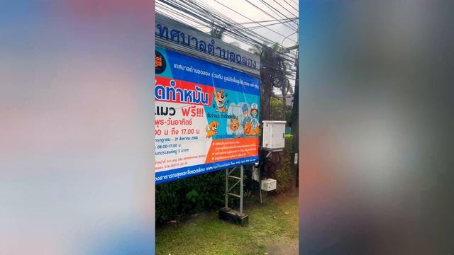 Едем по острову Пхукет