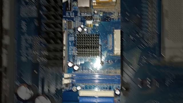 31457.mp4