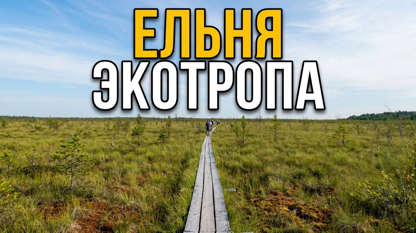 Экотропа на болотах в Эльне 🌿 Уникальное путешествие по болотам Беларуси