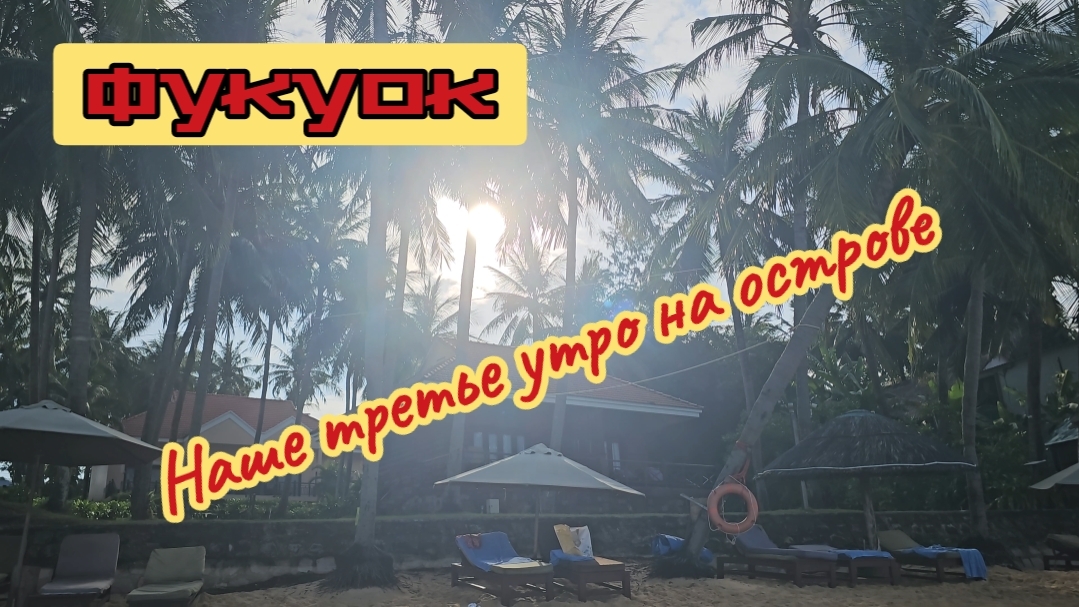 Фукуок. Наше третье утро на острове. Морская собака.