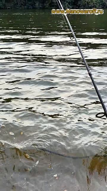 В Подольске почти как на море