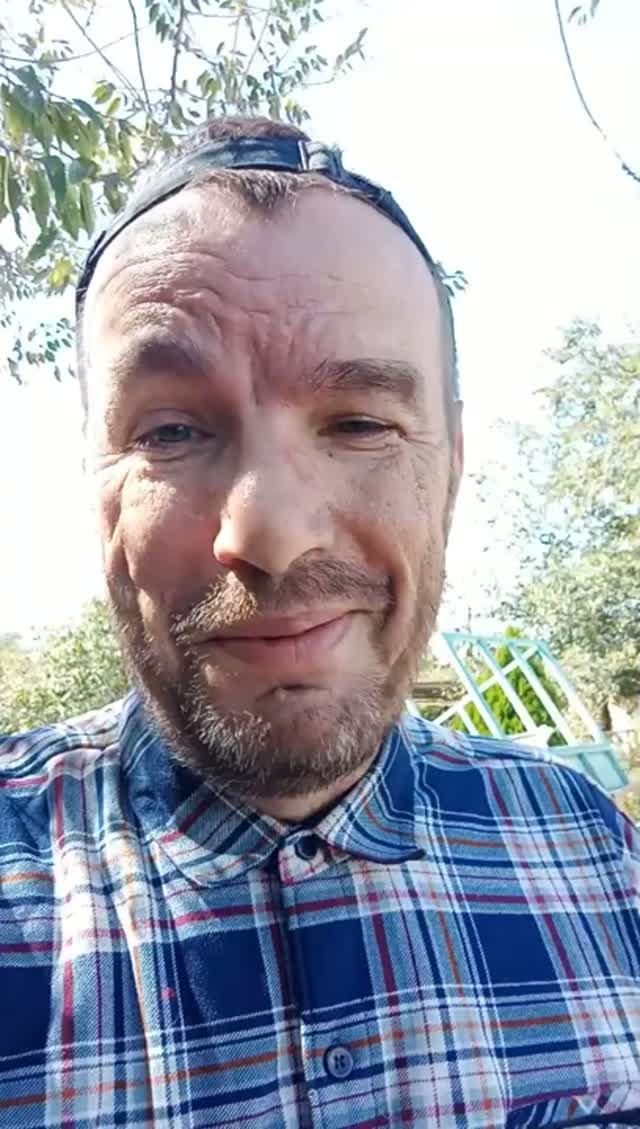 🐝 Я все таки победил этих тварей! Да здравствует сладкая жизнь... Жора контролирует! 🤗🤗🤗