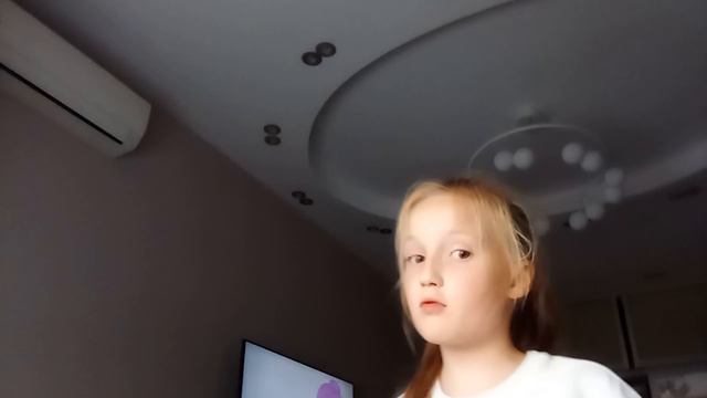 Вещи к подготовке собаки