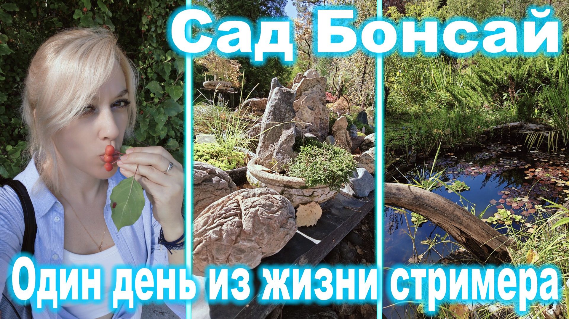 Сад Бонсай ► Один день из жизни стримера