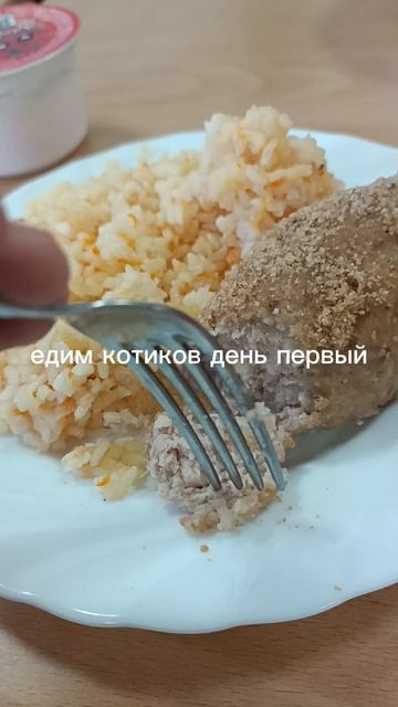 бедный Мурзик